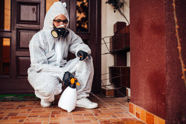 Reliable Bed Bug Control contractor in Jim Thorpe, PA by Nex Pest Control