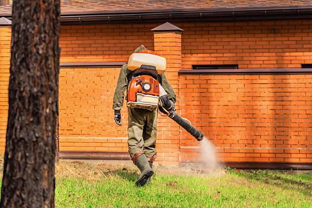 Trusted Termite Control service in Jim Thorpe, PA - Nex Pest Control